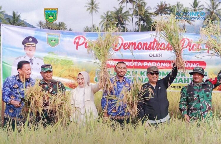 PANEN DEMPLOT— Walikota Padangpanjang Hendri Arnis menghadiri panen Demonstration Plot (Demplot) padi di lahan Kelompok Tani Gajah Tanang Sejahtera, depan Balai Benih Ikan (BBI), Kelurahan Ekor Lubuk, Rabu (17/9).