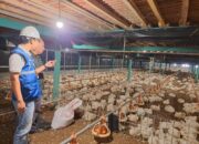 Utamakan Daya Beli Masyarakat, Pemerintah Jaga Tarif Listrik Tetap Terjangkau Sepanjang 2025