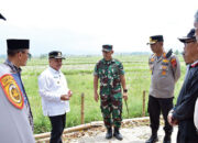Bupati Agam Tinjau Lahan Kekeringan di Ampek Angkek, Dorong Petani Alihkan Tanam Padi ke Jagung