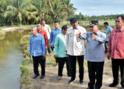 Bupati Agam Tinjau Irigasi Jebol di Tiku Selatan, 50 Hektare Sawah Warga Terancam Gagal Panen