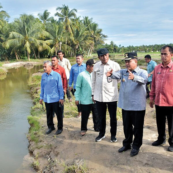 TINJAU— Bupati Agam meninjau lokasi irigasi dan lahan pertanian yang terdampak banjir beberapa waktu lalu, di Batang Inango, Jorong Gasan Kaciak, Nagari Tiku Selatan, Kamis (25/9).
