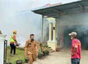 DBD Mewabah di Sijunjung, Lonjakan Kasus Terjadi Sejak Agustus,  Kadinkes: Hindari Gigitan Nyamuk Pagi dan Sore