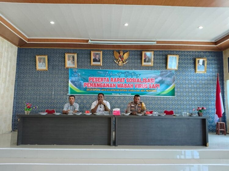 Di duga Wabah penyakit PMK yang menyerang hewan ternak sapi di Desa Sipora