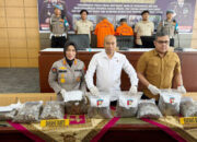 Polda Sumbar Tangkap Sindikat Perdagangan Sisik Trenggiling, Dibeli dari Petani Rp 300 Ribu, Dijual Rp 2,8 Juta per Kg