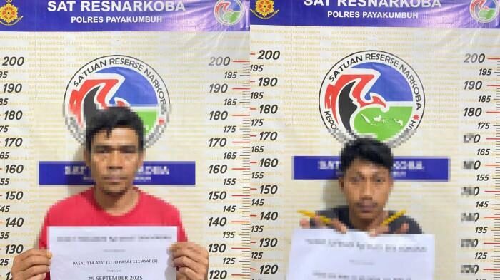 GANJA-Dua pengedar ganja ditangkap Tim Satresnarkoba Polres Payakumbuh di Kelurahan Aur Kuning, 
Kecamatan Payakumbuh Selatan.