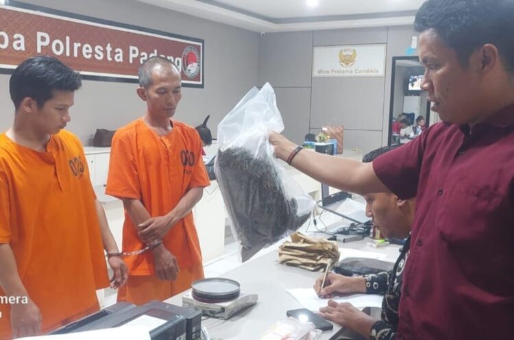 SABU DAN GANJA— Dua pelaku yang diduga kuat sebagai pengedar sabu dan ganja 
ditangkap Tim Satresnarkoba Polresta Padang.