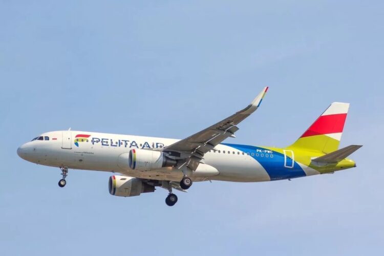 ILUSTRASI—Pesawat Pelita Air.