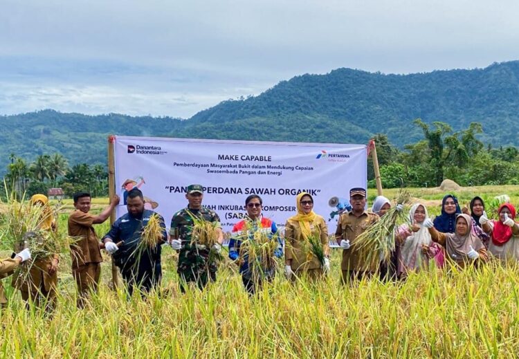 Dukung Swasembada Pangan di Kota Padang, Pertamina Patra Niaga Hadirkan Inovasi Pertanian SABAKO 1 PANEN PERDANA—Pertamina Patra Niaga Regional Sumbagut melalui Integrated Terminal (IT) Teluk Kabung bersama masyarakat Kelurahan Bungus Timur, Kota Padang, menggelar panen perdana padi dengan teknik SABAKO.