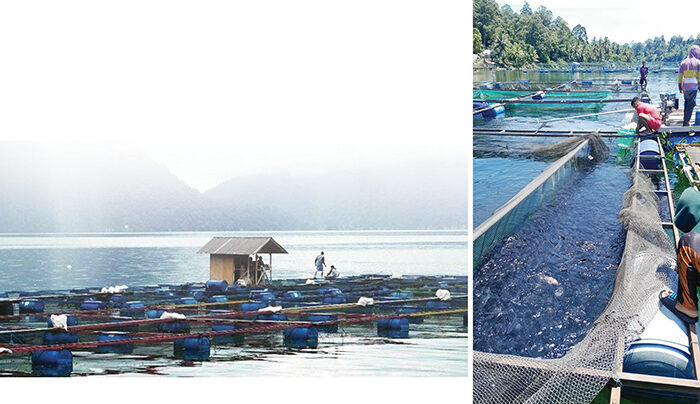 Danau Maninjau jadi Penyumbang Terbesar, Triwulan Pertama, Produksi Ikan Air Tawar Agam Capai 16.850 Ton 1 KERAMBA JARING APUNG— Keramba jaring apung di Danau Maninjau, Kecamatan Tanjung Raya, menjadi
penyumbang terbesar produksi ikan air tawar Kabupaten Agam.