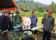 Panen Demplot Padi, Wako Hendri Arnis Dorong Kemandirian Petani