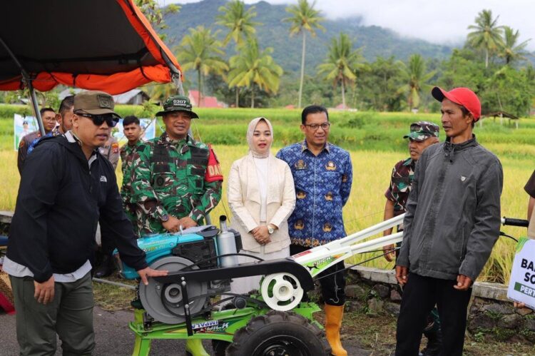 Panen Demplot Padi, Wako Hendri Arnis Dorong Kemandirian Petani 1 PANEN DEMPLOT— Wali Kota Hendri Arnis menghadiri panen Demonstration Plot (Demplot) padi di lahan Kelompok Tani Gajah Tanang Sejahtera, depan Balai Benih Ikan (BBI), Kelurahan Ekor Lubuk, Rabu (17/9).