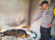 Ngeri! Gadis asal Mentawai Bakar Diri di Kamar Kos, Teriak Minta Tolong hingga Diselamatkan Warga, Korban Sempat Cekcok dengan Pacar