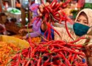 Cabai Merah Turun Rp10 Ribu