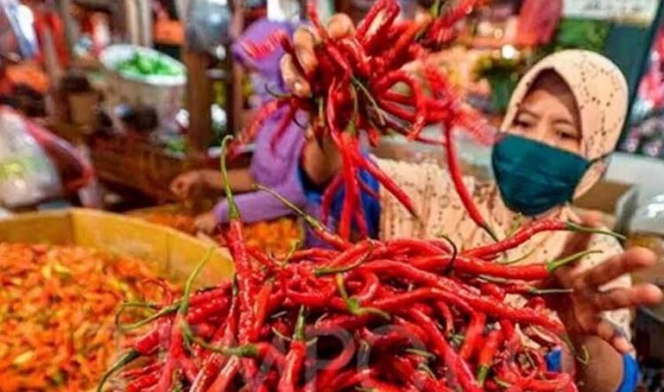 LAYANAN—Terlihat seorang pedagang cabai di pasar Padangpanjang sedang melayani pembeli.