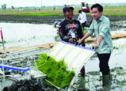 Gibran Minta Bulog Inovatif Serap Hasil Panen Petani Apapun Kondisinya