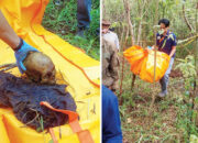 Geger! Tengkorak Manusia Ditemukan di Ladang, Ada Helm, Celana Pendek dan Kaos Oblong