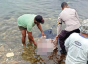 Usai Bertemu Pacar, Mahasiswi Ditemukan Tewas Mengapung di Danau Maninjau