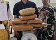 Pengiriman 7 Kg Ganja ke Jakarta Digagalkan Petugas Avsec BIM, Terdeteksi saat Melewati Mesin X-Ray