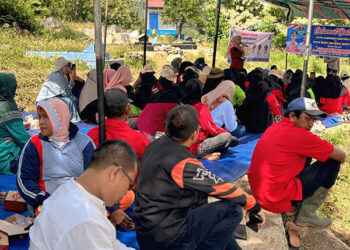 Inovasi SPM, Petani Nikmati Hasil Penen Lebih Tinggi 