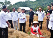 Percepatan Pembangunan dan Ketahanan Pangan, Bupati Agam Dorong Pemetaan Wilayah Palupuh