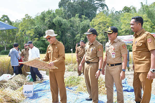 PANEN RAYA SPM— Bupati Agam diwakili Asisten III Setda Agam, Syatria, menghadiri Panen Raya Sawah Pokok Murah (SPM) di Tabek Salapan, Jorong Koto Baru, Nagari Koto Tuo, Kecamatan IV Koto, Senin (27/10).