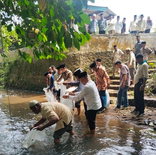 Wabup Padangpariaman Tebar 5.000 Benih Ikan, Ajak Warga Jaga Kelestarian Sungai 1 TEBAR BIBIT IKAN—Wakil Bupati Padangpariaman, Rahmat Hidayat, menebar ribuan bibit ikan mas di Batang Aia Sungai Abu, tepat di depan Masjid Raya Toboh Gadang.