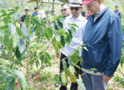 Lanjutkan Kunjungan di Agam, Anggota DPD RI Irman Gusman Tinjau Potensi Wisata dan Ekonomi Kreatif