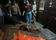 Wanita Lansia Ditemukan Tewas Membusuk