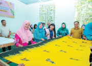 Bangun Kemandirian Desa Salo Timur, Srikandi PLN Salurkan Bantuan Pemberdayaan Kelompok Batik, Maggot dan Lele