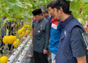 Berikan Peluang Usaha Baru untuk Masyarakat, Pertamina Patra Niaga Hadirkan Inovasi Melon Hidroponik 