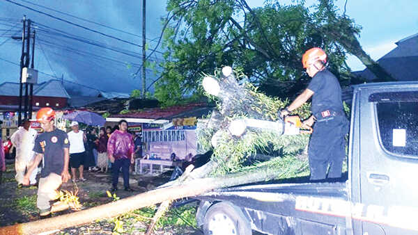 Tumbang Diterjang Angin Kencang, Pohon Kedondong Timpa Rumah dan Dua Mobil 1 PEMBERSIHAN— Tim BPBD Kota Padang melakukan pembersihan material pohon tumbang yang menimpa rumah dan dua mobil di Kecamatan Lubuk Kilangan.