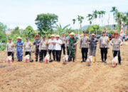 Polda Sumbar Gelar Penanaman Jagung Kuartal IV Tahun 2025, Irjen Pol Gatot: Wujud Nyata Perkuat Ketahanan Pangan