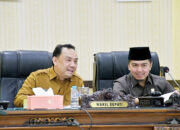 Perda Cadangan Pangan Diperlukan untuk Kendalikan Harga dan Pasokan