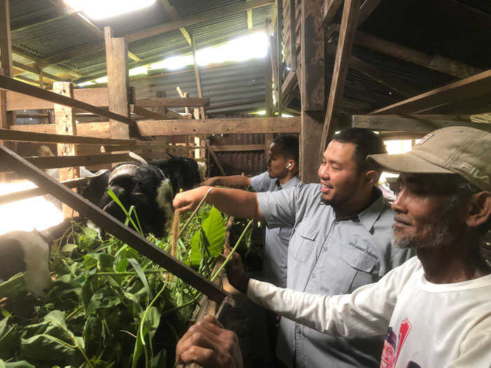 Kambing Etawa Jadi Harapan Baru Ekonomi Warga Kampung Padayo 1 PETERNAKAN KAMBING— Tim dari UPZ Baznas Semen Padang melihat langsung usaha peternakan kambing etawa milik warga di Kampung Padayo, Kelurahan Indarung, Kecamatan Lubuk Kilangan. UPZ Baznas Semen Padang memastikan zakat yang dihimpun dari karyawan benar-benar memberi dampak bagi masyarakat.