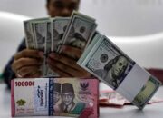 Pertumbuhan Utang Luar Negeri Melambat, Per Agustus USD 431,9 Miliar dan Didominasi Tenor Jangka Panjang