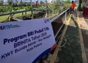 Kembangkan Urban Farming melalui Program BRInita, BRI RO Padang Salurkan Bantuan kepada KWT Bunda Atirah
