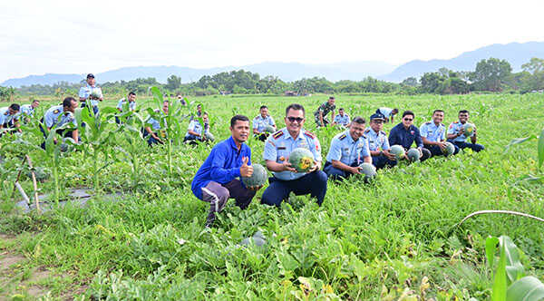 PANEN SEMANGKA— Komandan Lanud Sutan Sjahrir Kolonel Nav Wahyu Bintoro, S.E., M.M., M.Han bersama perwira Lanud Sutan Sjahrir dan anggota PIA Ardhya Garini Cabang 14/D.I, melakukan Panen Raya Semangka di kebun semangka binaan Lanud Sutan Sjahrir, Kamis (23/10).