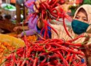 Harga Pangan Cenderung Turun, Cabai Merah Stabil
