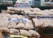 Banyak Dijual di Medsos dan Toko Online, Polri Diminta Berantas Peredaran Pil Palsu