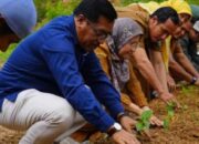 PTBA Bantu Keltan Tani Jaya 3.500 Batang Bibit Cabai