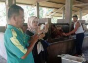 Pemkab Pasaman Barat Siaga PMK, Stok Vaksin Tersedia 1.375 Dosis