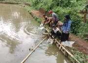 Wujudkan Ketahanan Pangan, Ilson Cong Serahkan Bantuan Bibit Ikan
