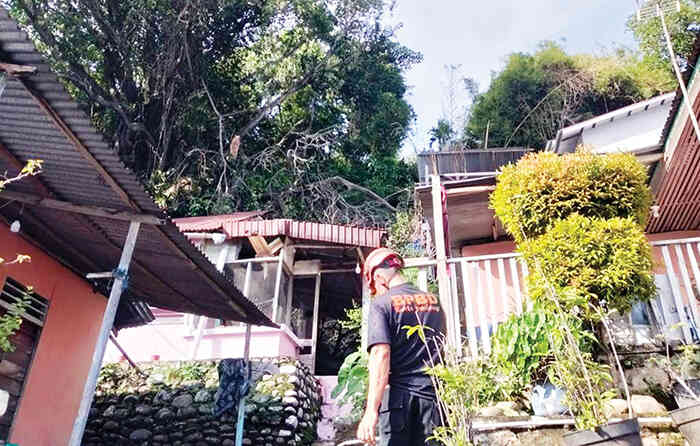 Warga Diminta Tetap Waspadai Angin Kencang Disertai Badai, Beringin Besar Tumbang, 3 Rumah Rusak 1 EVAKUASI POHON TUMBANG— Evakuasi pohon beringin berukuran besar yang tumbang dan menimpa tiga unit rumah warga di Sebrang Palinggam, RT 01 RW 05, Kelurahan Seberang Palinggam, Kecamatan Padang Selatan, hingga Jumat (14/11) pagi masih berlangsung.