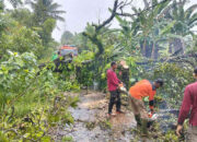 Langit Mendung Sepanjang Akhir Pekan, Suhu Tercatat 25 Derajat Celcius, Sejumlah Pohon Tumbang Lumpuhkan Akses Jalan Warga