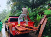 148 Batang Kayu Hasil Pembalakan Liar di Cagar Alam Maninjau Disita, 2 Orang Diamankan