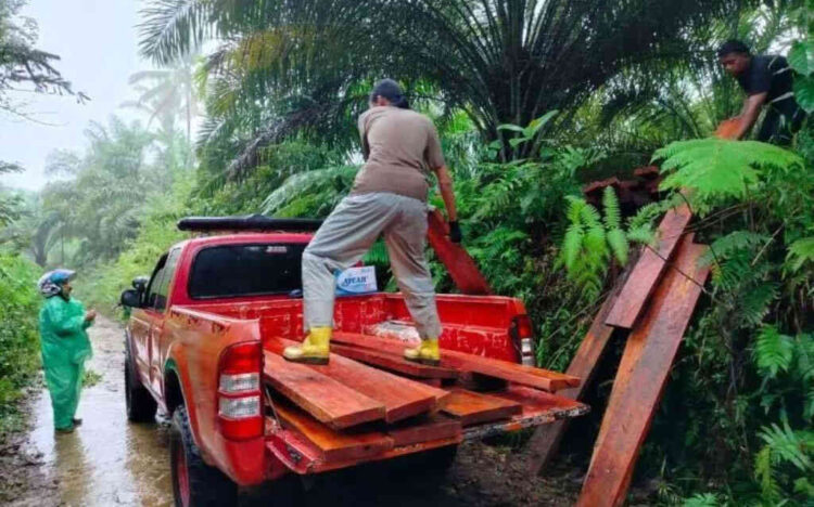KAYU ILEGAL— Ratuan batang kayu hasil pembalakan liara diamankan Tim BKSDA Sumbar bersama Polsek Ampek Koto Aur Malintang.