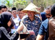 Petani Pasaman sudah Terakomodir, Bupati Welly Suhery Pastikan Ketersediaan dan HET Pupuk Bersubsidi untuk Petani