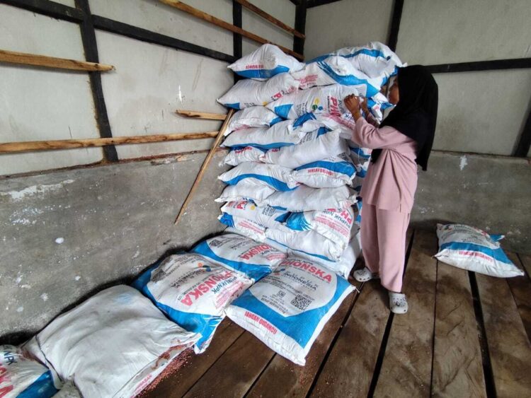 PUPUK BERSUBSIDI— Pascaturunnya harga pupuk bersubsidi beberapa waktu lalu, Dinas Pertanian Kota Payakumbuh akan memaksimalkan pengawasan terhadap penjualan pupuk di tingkat pelaku usaha.