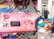 Berjualan Narkoba di Rumah, Pria Paruh Baya Kedapatan Simpan 10 Paket Sabu