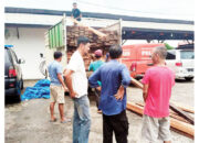 Truk Bermuatan 467 Batang Kayu Banio Ilegal Ditangkap, Dibawa dari Sijunjung lalu Dijual ke Bengkulu